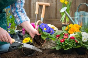 Top 15 Duftende Gartenpflanzen Mit Tollen Pflegetipps