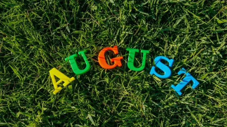 Was Blüht Im August: Sommerblüher Sind Muss In Jedem Garten