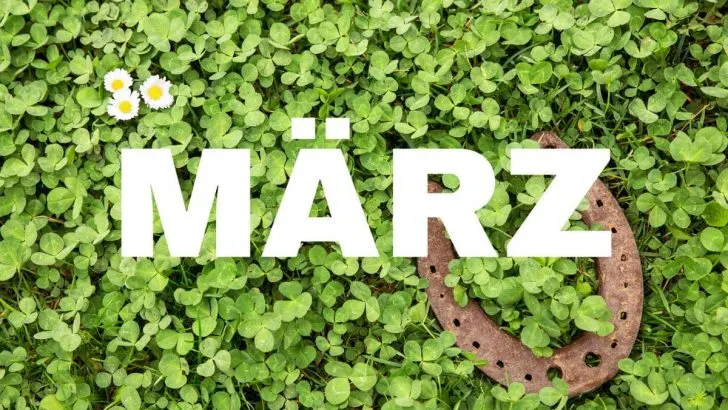 Was Blüht Im März: Diese Pflanzen Sind Die Schönsten Frühlingsboten!