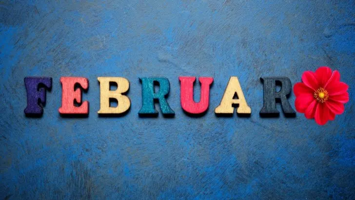 Was Blüht Im Februar: Dies Sind Die Schönsten Pflanzen Im Februar!