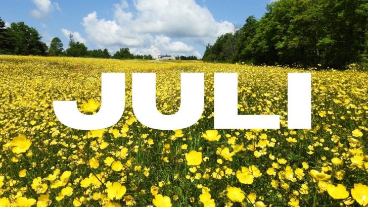 Was Blüht Im Juli: Blühpflanzen Für Seele Und Augen!