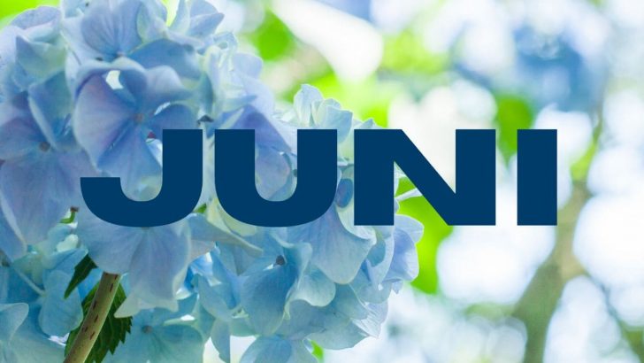 Was Blüht Im Juni: 18 Sommerblüher Für Garten Und Balkon!