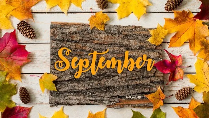 Was Blüht Im September: Große Auswahl An Herbstpflanzen