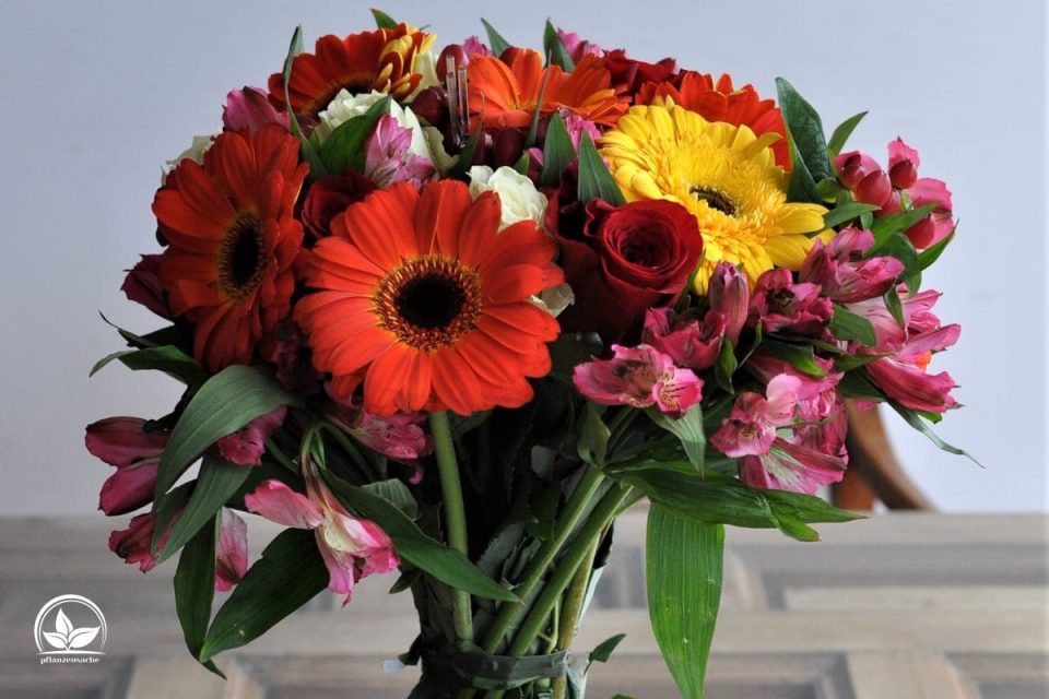 Geburtstagssprüche Blumen Die Schönsten Worte Zum Blumigen Geschenk