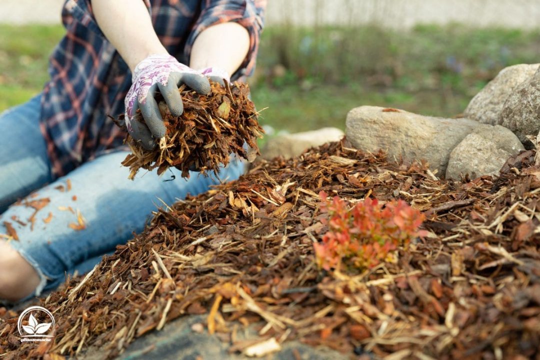 Mehr Grünes Wissen Welche Pflanzen Vertragen Rindenmulch Nicht?