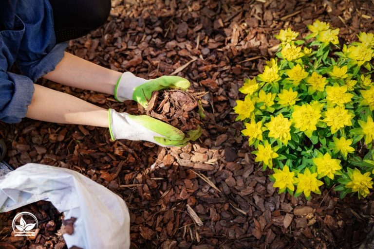 Mehr Grünes Wissen Welche Pflanzen Vertragen Rindenmulch Nicht?