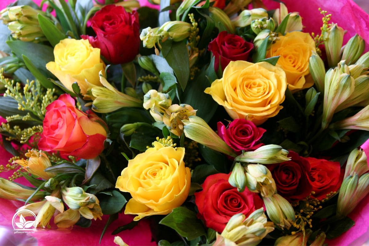 Geburtstagssprüche Blumen Die Schönsten Worte Zum Blumigen Geschenk