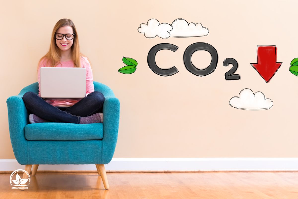 Die Rettung In Der Klimakrise Wie Viel CO2 Bindet Ein Baum?