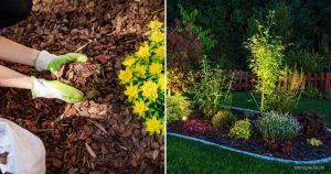 15 Einfache Gestaltungsideen Und Styles Zum Verschönern Ihres Gartens