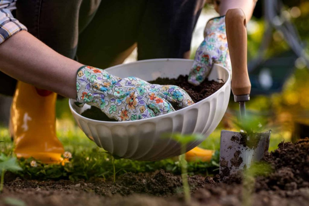 Frau verbessert Gartenbeetboden zum Pflanzen und dungt mit Kompost