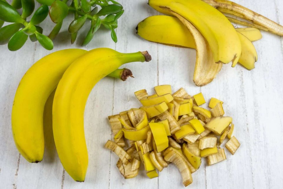 Werfen Sie Ihre Bananenschalen Nicht Weg, Sondern Stellen Sie