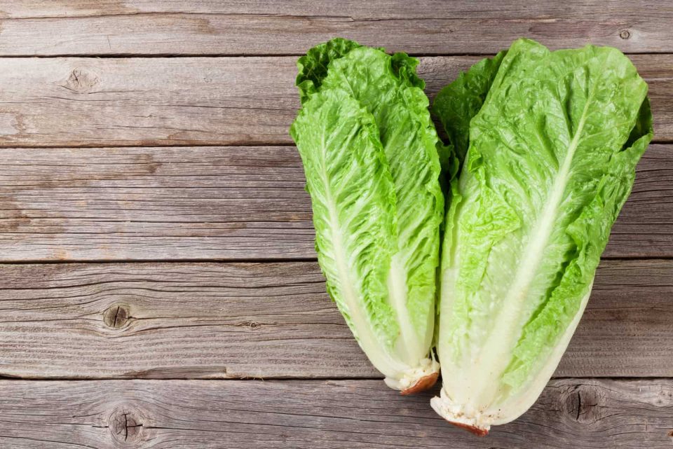 5 Gründe Für Bitteren Kopfsalat Und Wie Man Das Verhindert!