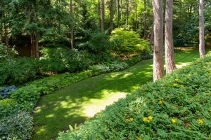 10 Ideen Für Schattige Gärten In Waldgebieten Für Ruhige Rückzugsorte Im Schatten