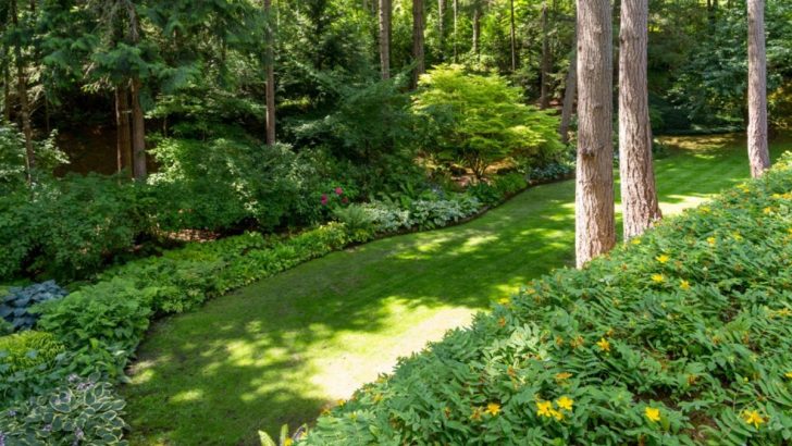 10 Ideen Für Schattige Gärten In Waldgebieten: Für Ruhige Rückzugsorte Im Schatten