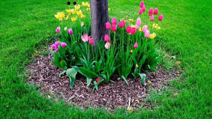 14 Kreative Ideen Für Die Landschaftsgestaltung Rund Um Bäume