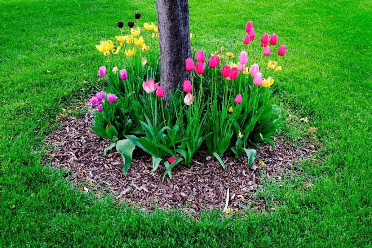 14 Kreative Ideen F&uuml;r Die Landschaftsgestaltung Rund Um B&auml;ume