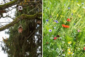 5 Tipps Wie Sie Ihren Garten In Einen Lebensraum Für Wildtiere Verwandeln Können