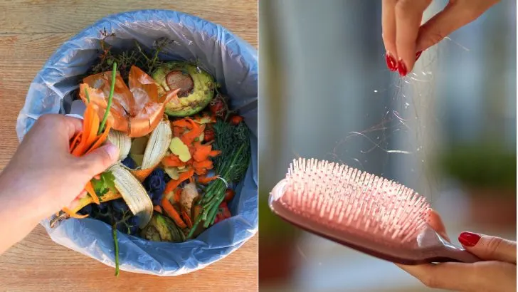 95 Dinge Von Denen Sie Nicht Wussten, Dass Man Sie Kompostieren Kann