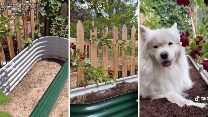 Ein kreativer Weg, Um Gartenbeete Billig Zu Machen