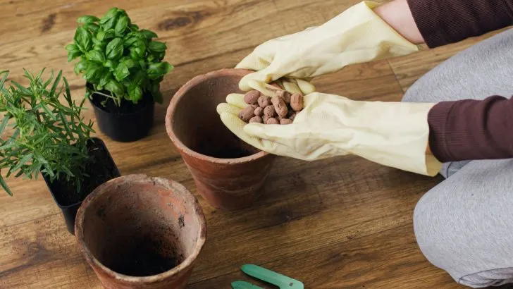 Sollte Man Den Boden Von Pflanzgefäßen Mit Steinen Und Kies Auffüllen?