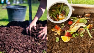 Verbessern Sie Ihre Gartenerde Mit Diesen 5 Einfachen Methoden