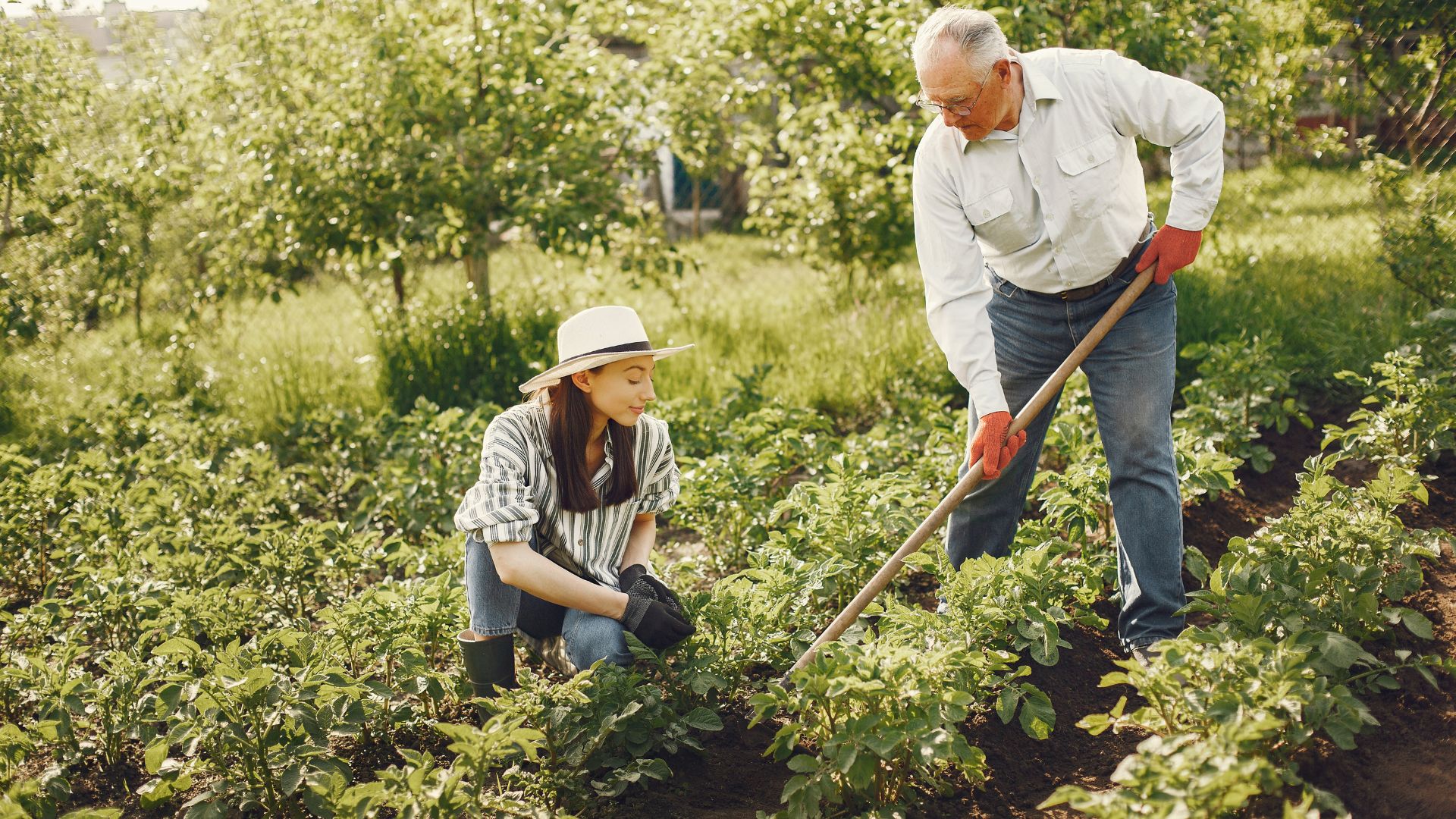 Was Eine Stunde Gartenarbeit Für Ihre Gesundheit Tun Kann