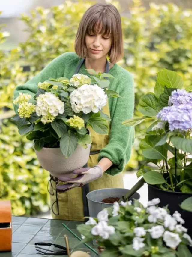 Junge Frau kummert sich um Blumen im Garten