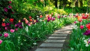 6 Tipps, die Ihnen beim Anlegen eines Frühlingsgartens helfen