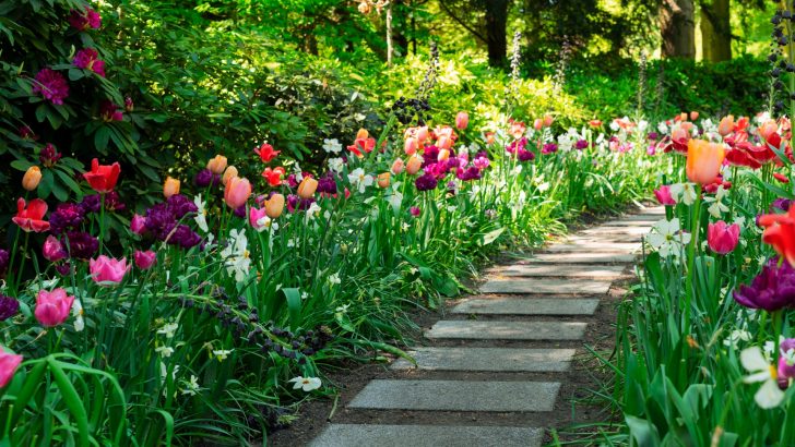 6 Tipps für die Bepflanzung eines Frühlingsgartens