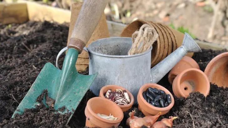 Gartenarbeit im Februar: To-do-Liste