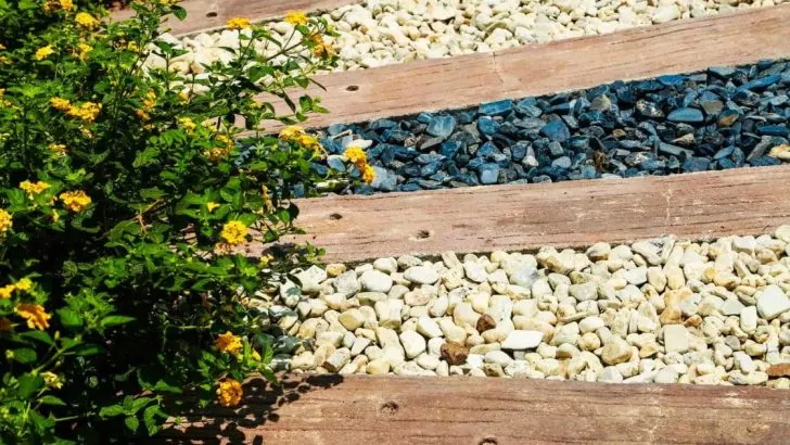 6 Vor- und Nachteile für Terrassen mit Erbsenkies, die Ihnen bei der Entscheidung helfen sollen