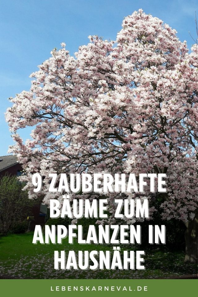 8 Solar-Bodenleuchten Alesia – Höhe 39 Cm, Kaltweiße LEDs, Bis Zu 8 Stunden Betrieb, IP44