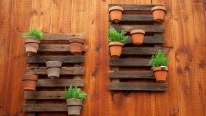 Terrakotta-Töpfe sind das Allerbeste für Ihre Zimmerpflanzen und hier ist der Grund dafür