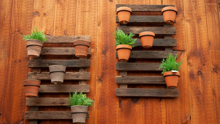 Terrakotta-Töpfe sind das Allerbeste für Ihre Zimmerpflanzen und hier ist der Grund dafür