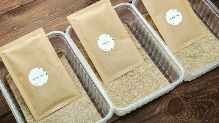 Verfallen Gartensamen tatsächlich?