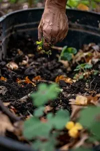 5 Kompost-Geheimnisse, um Ihren Gartenboden im April zu bereichern