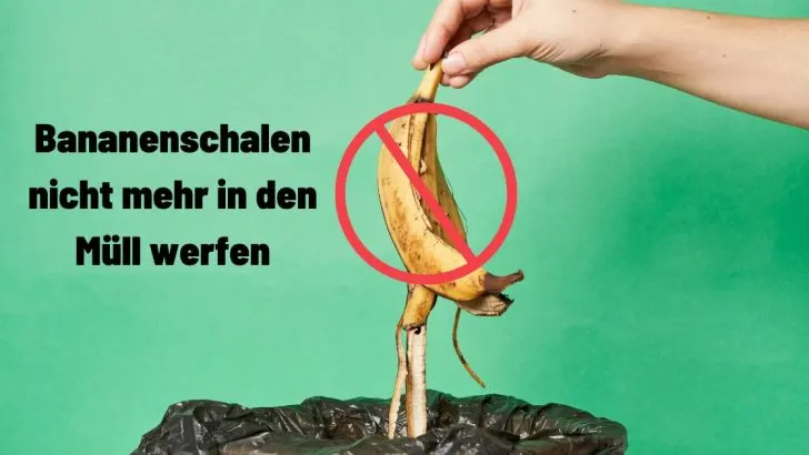 Bananenschalen sind ein Schatz für Gärtner. Hier ist der Grund dafür.