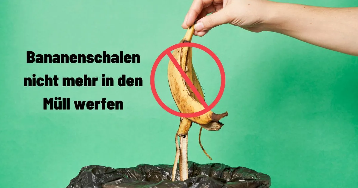 Bananenschalen sind ein Schatz für Gärtner. Hier ist der Grund dafür
