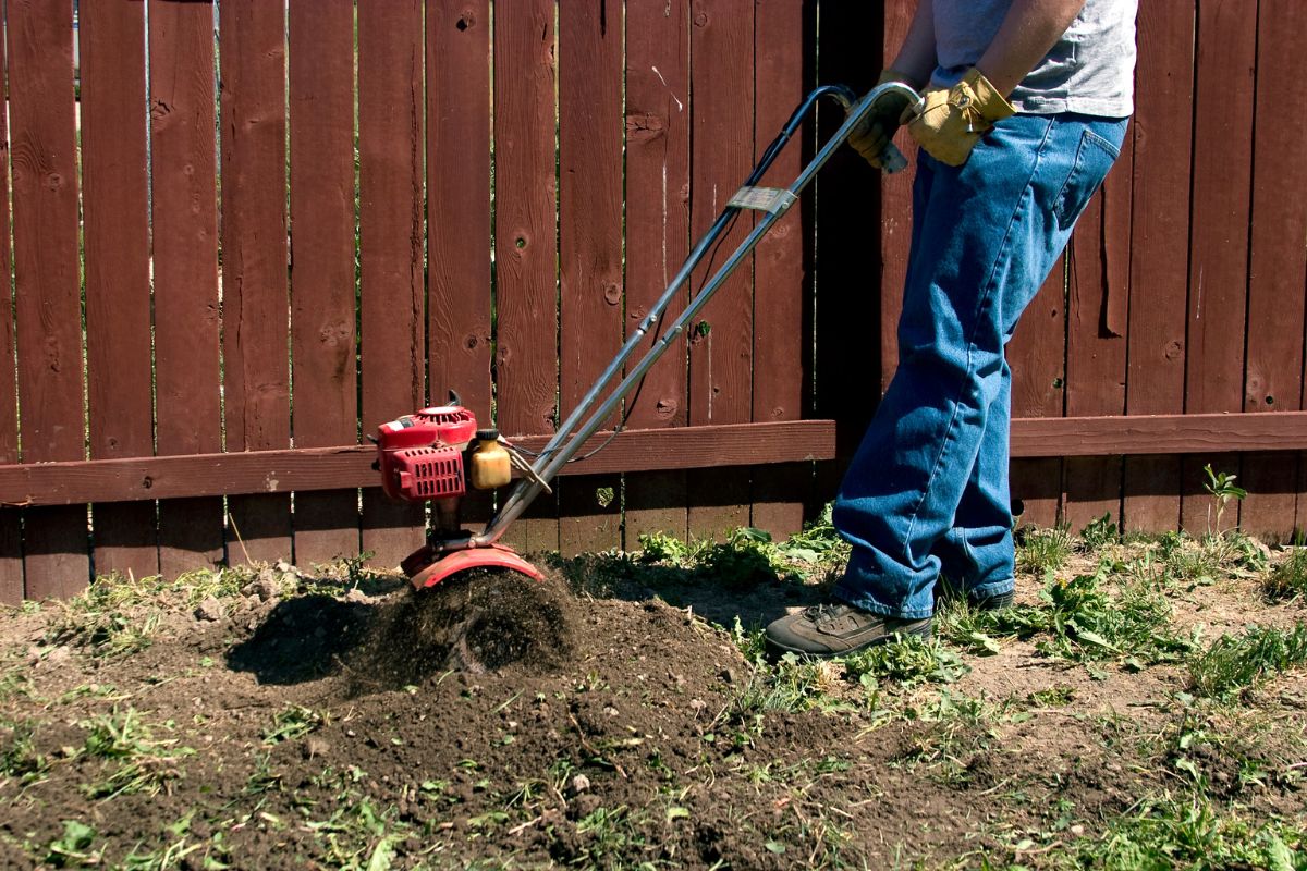 10 Gartentipps für faule Gärtner