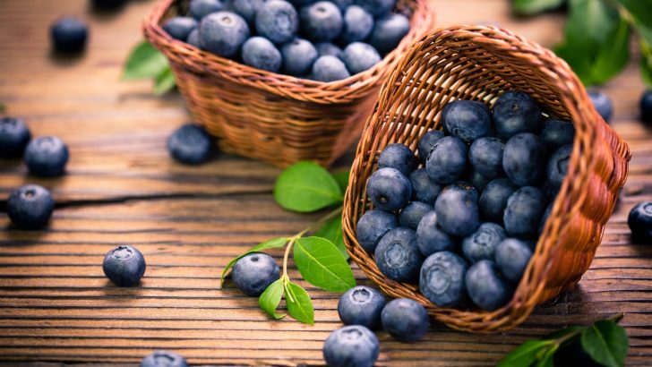 Wenn Sie dachten, diese Fakten über Blaubeeren wären wahr, halten Sie sich fest – Sie werden staunen!