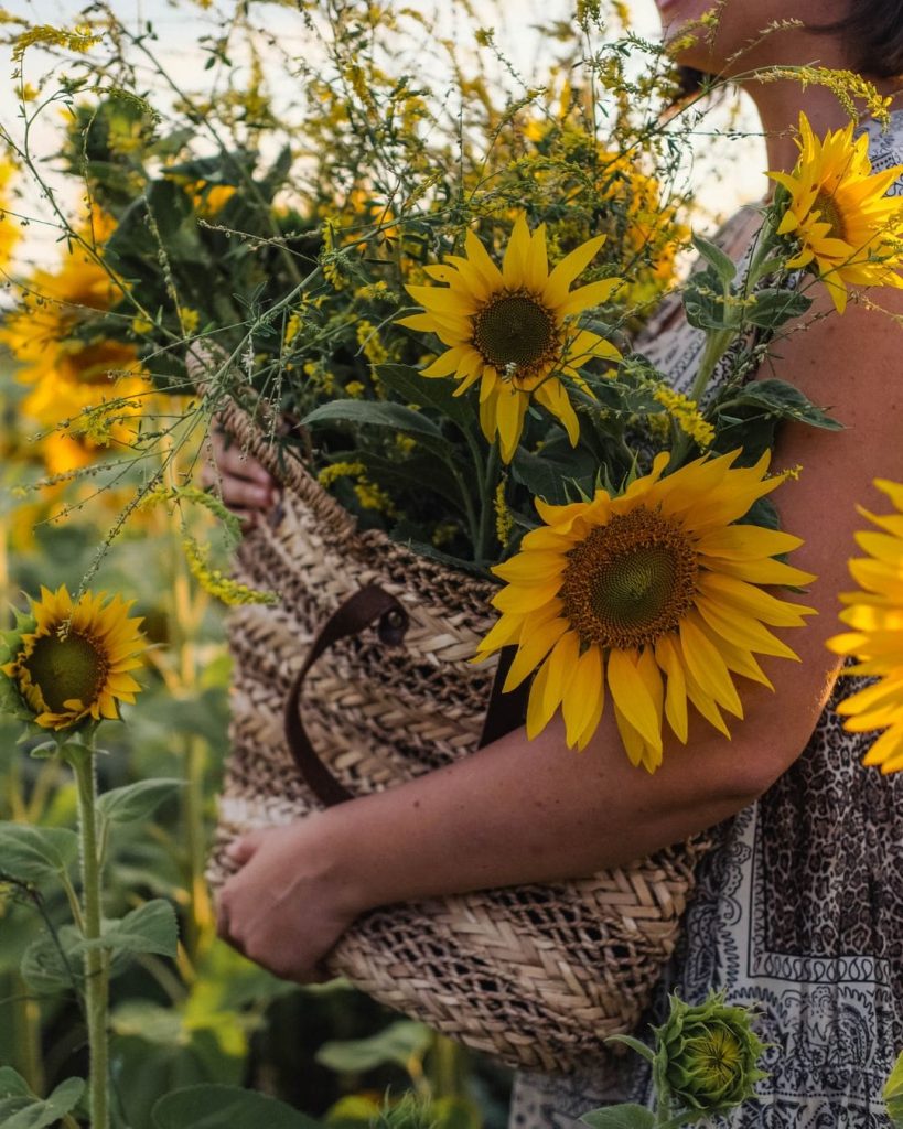 Sonnenblumen