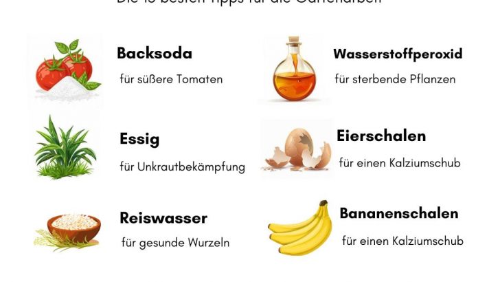 Die 15 besten Garten-Tricks, die Sie kennen müssen