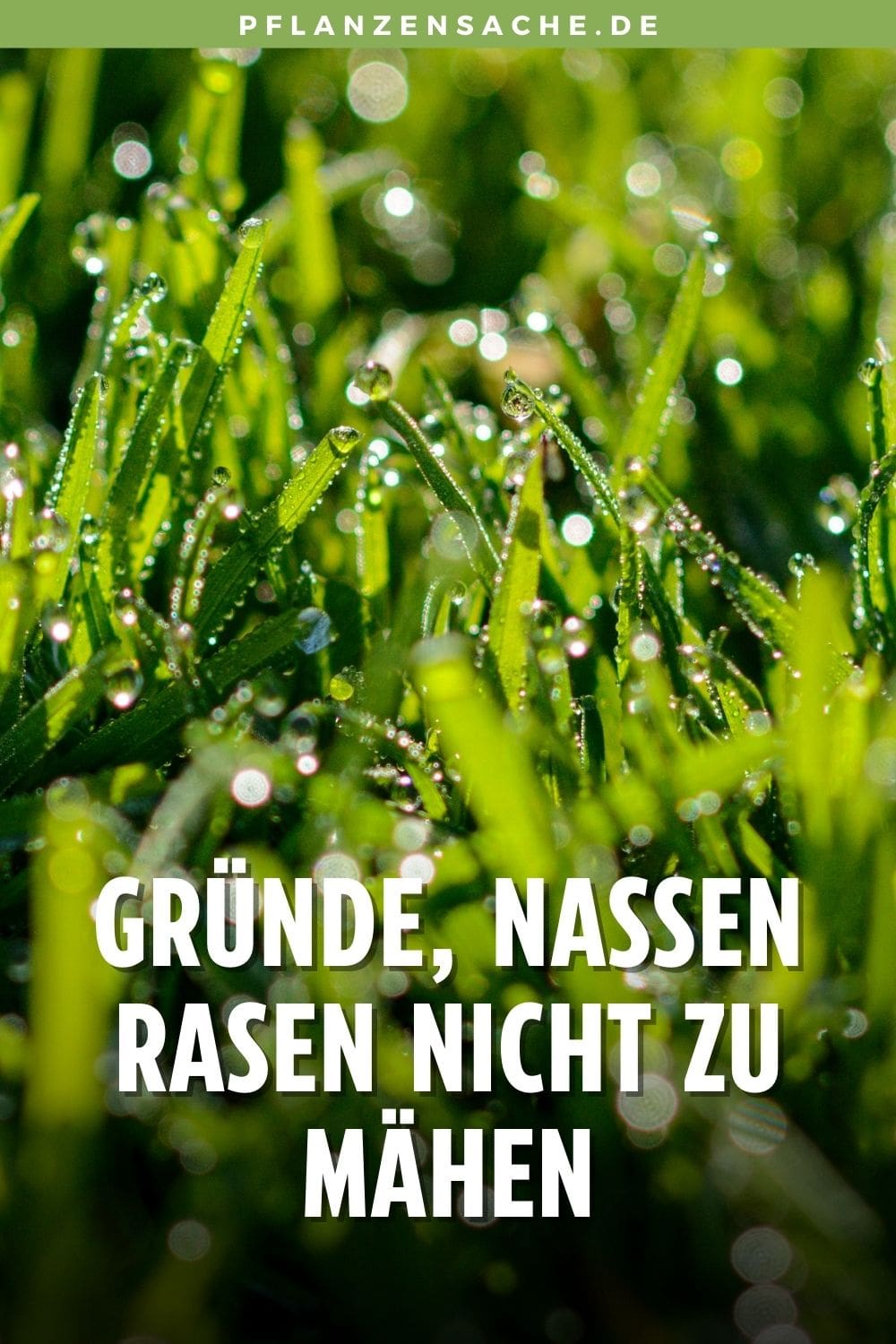 Faszinierend Nassen Rasen Mhen Elektro Bilder