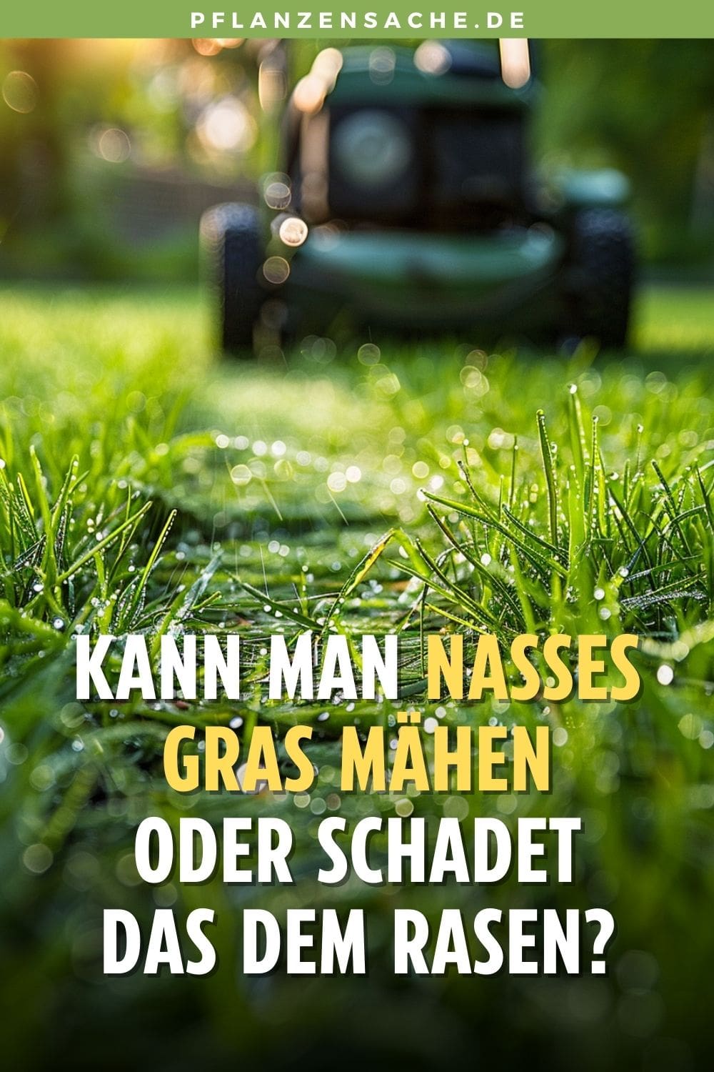 Rasen Mahen Nachtfrost
