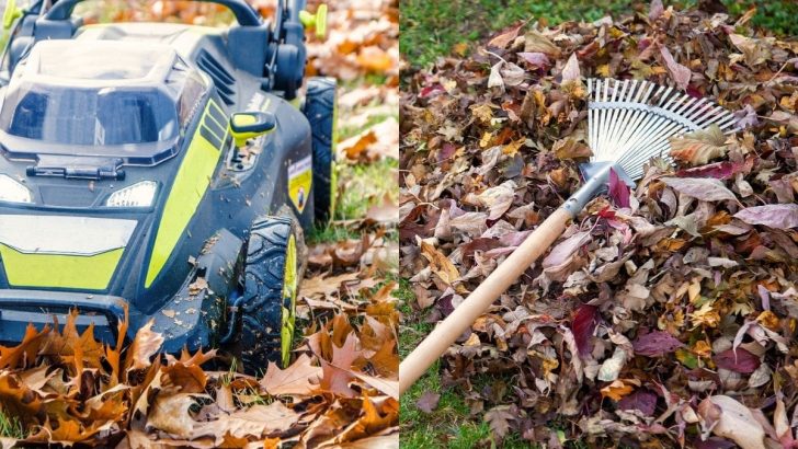 Warum Sie diesen Herbst kein Laub zusammenharken sollten