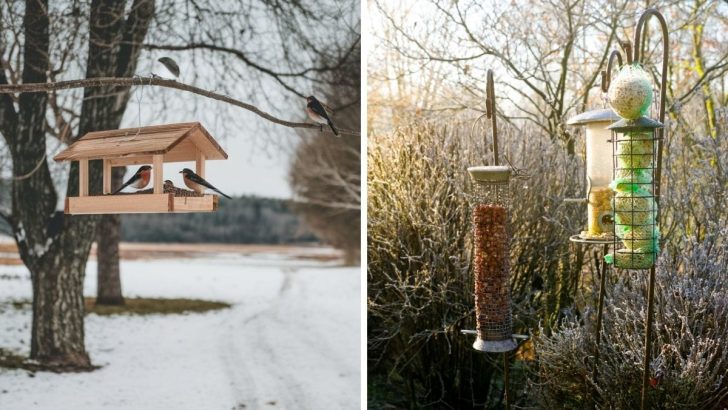 3 einfache Möglichkeiten, Vögeln im Winter zu helfen