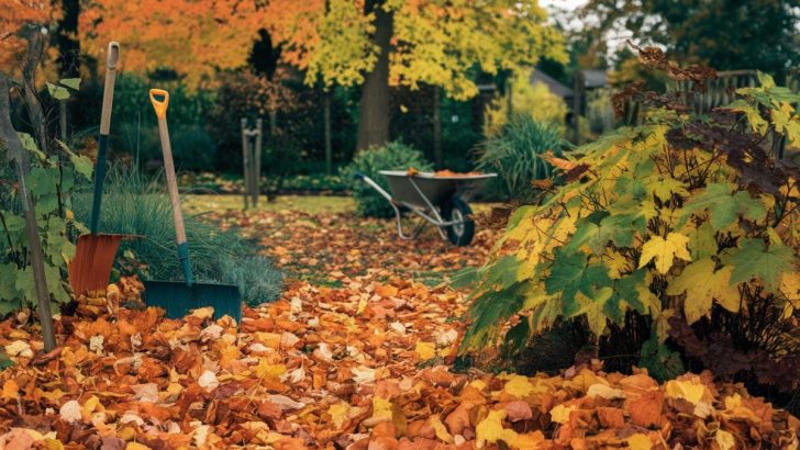 5 Wichtige Gartenarbeiten im Herbst, damit Ihr Garten bereit für den Winter ist