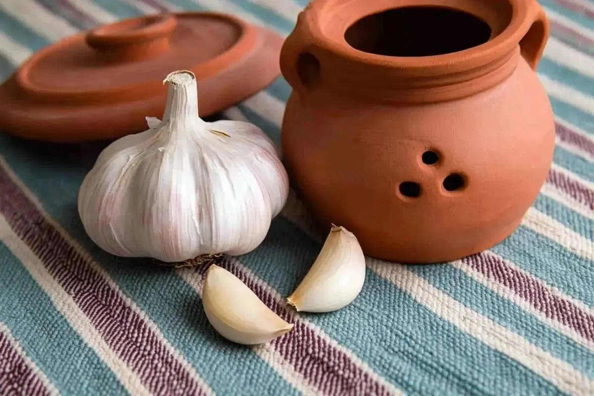 whole bulb of garlic with a couple of separated cloves