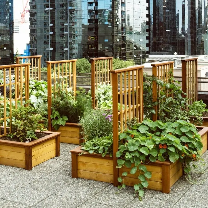 Rooftop Gardens