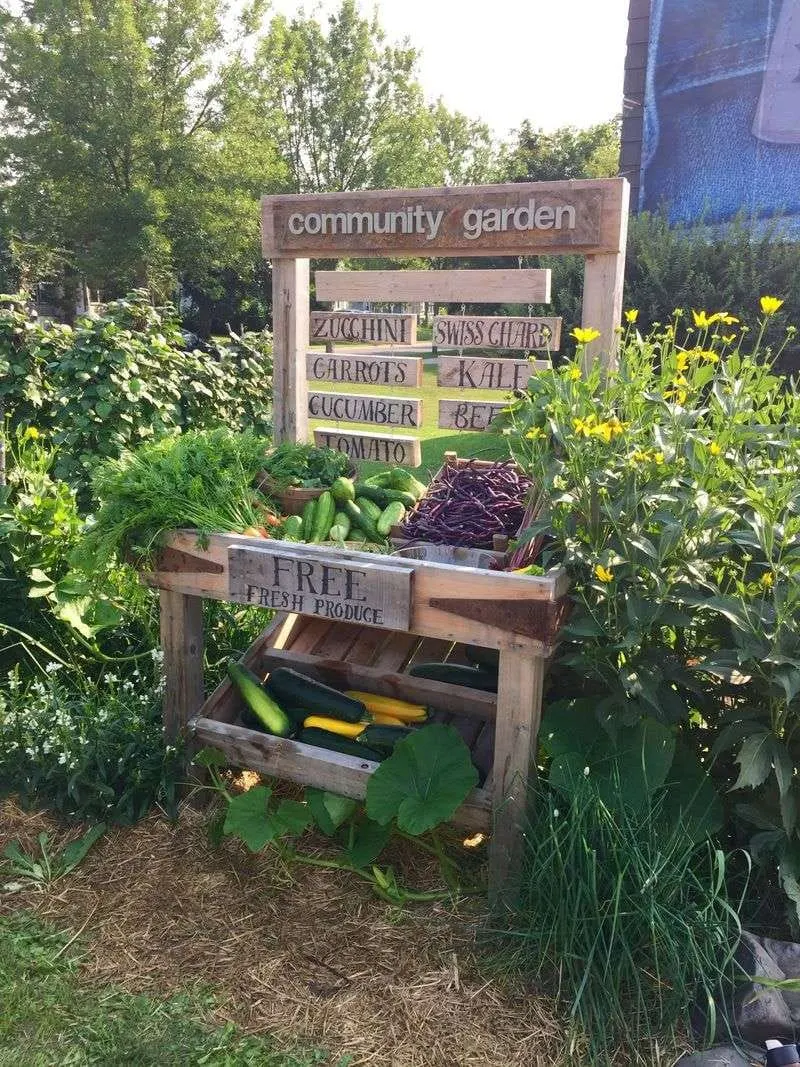 Community Gardens